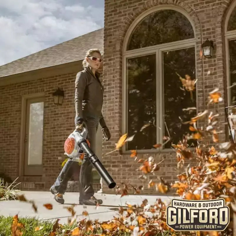 STIHL BG 56 C-E Blower | Gilford Hardware