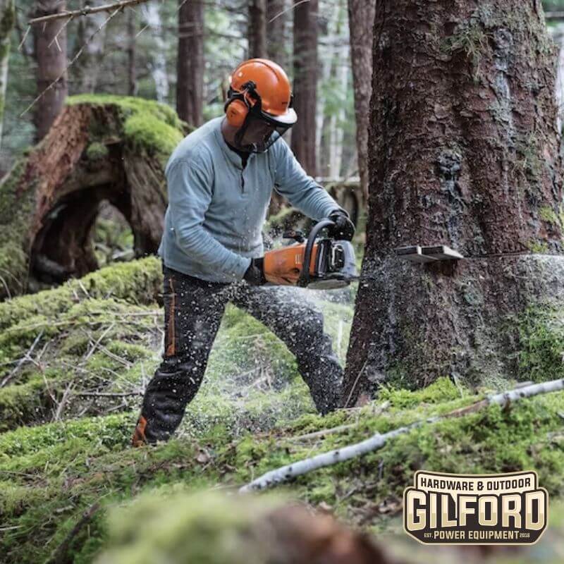 STIHL MS 462-Z Chainsaw 25" | Gilford Hardware