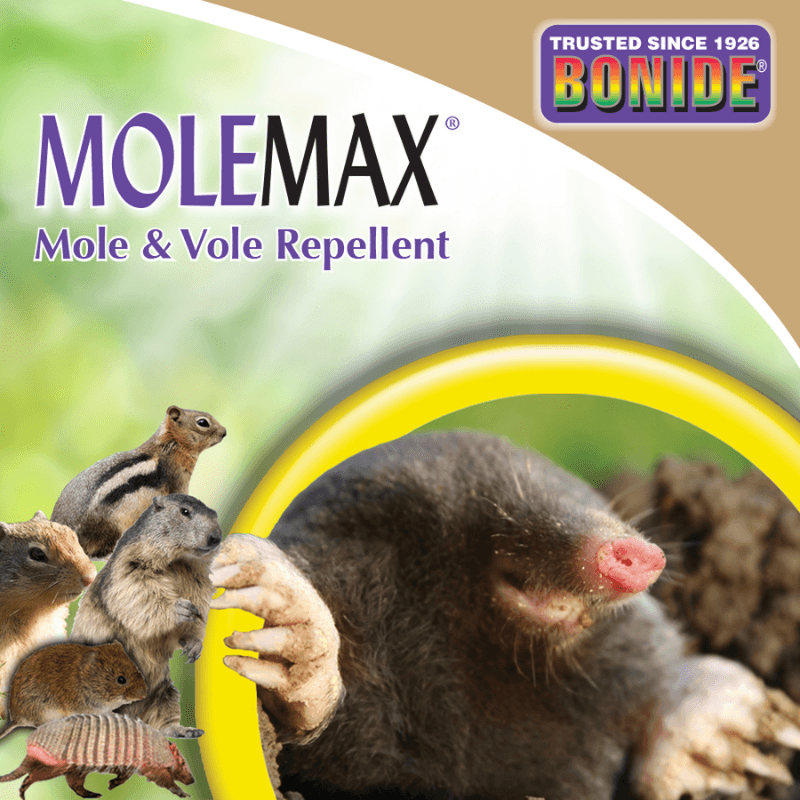 Bonide MoleMax Repellent For Moles and Voles 10 lb. | Gilford Hardware