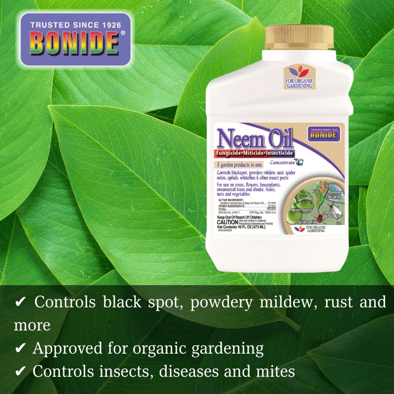 Bonide Neem Oil Concentrate 16 oz. | Gilford Hardware 