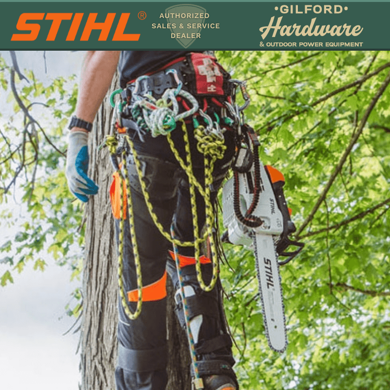 STIHL MS 201 T C-M Tree Chainsaw 14" Bar | Gilford Hardware 