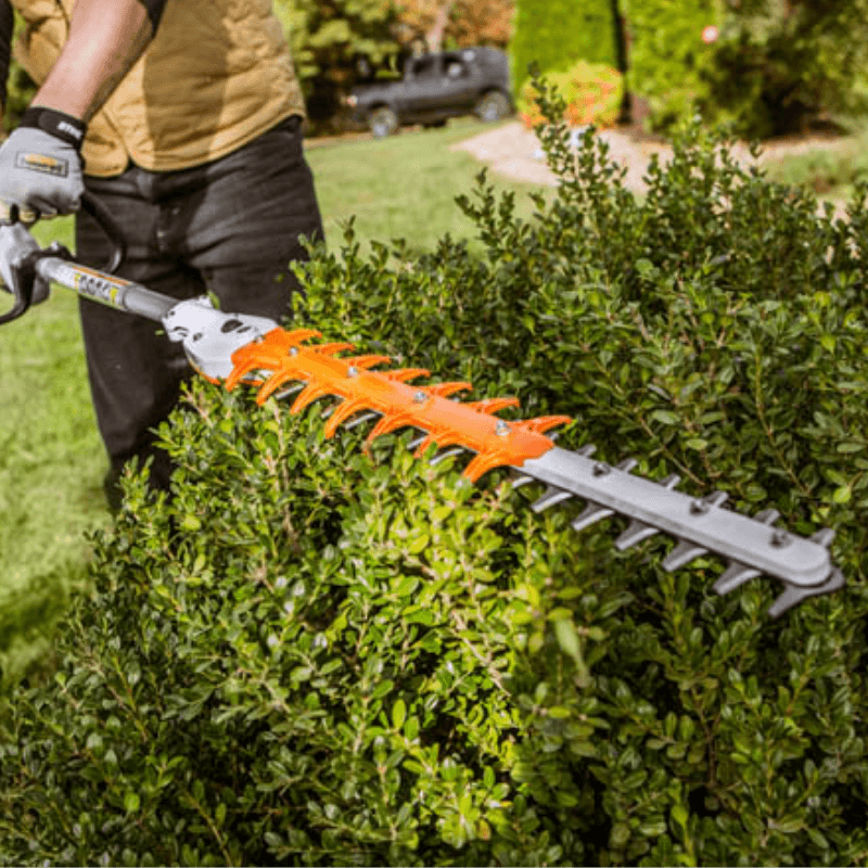 STIHL HL 56 Hedge Trimmer 0° | GIlford Hardware 