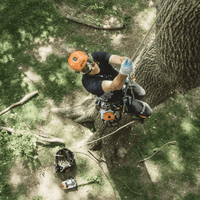 Thumbnail for STIHL MS 194 T Top Handle Chainsaw 14