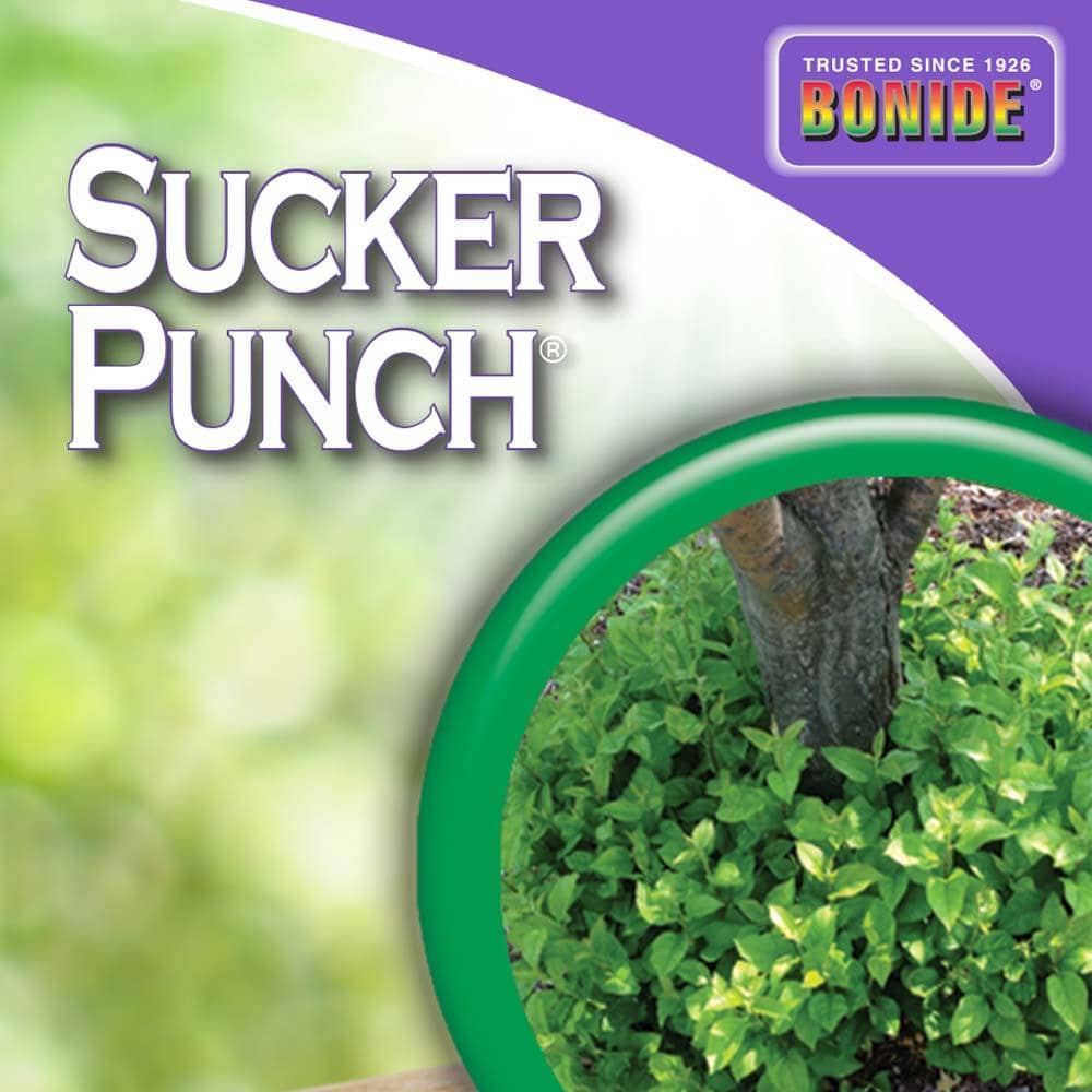 Bonide Sucker Punch Sprout Control 32 oz. | Gilford Hardware